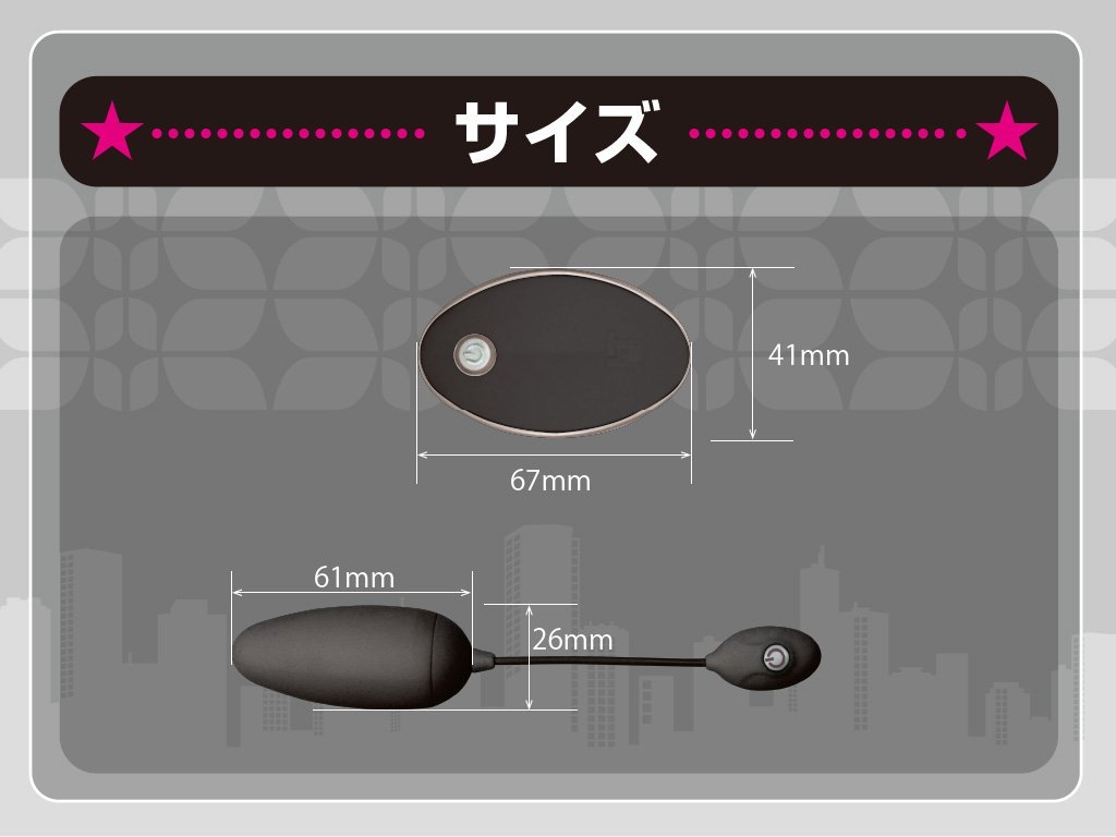 JAPAN-TOYZ ネモ-チャージの製品概要04