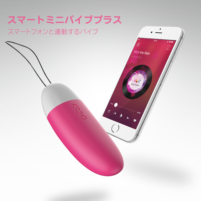 スマートミニバイブのイメージ03