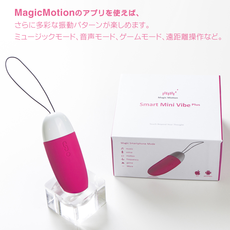 スマートミニバイブのイメージ04