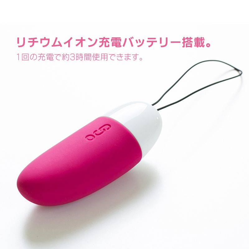 スマートミニバイブのイメージ07