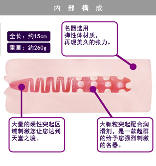 商品説明図01