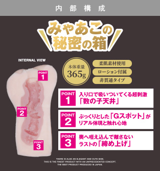 商品説明図01