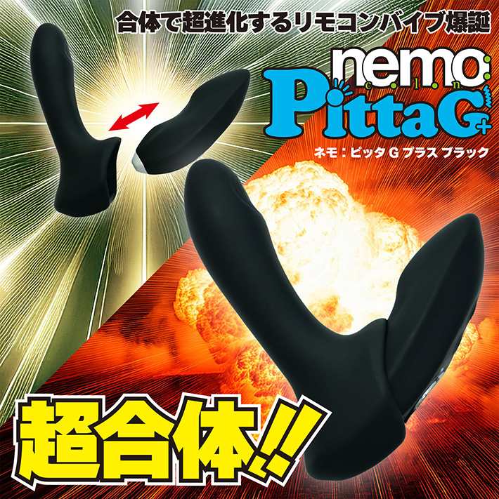nemo：PittaG+の製品概要01
