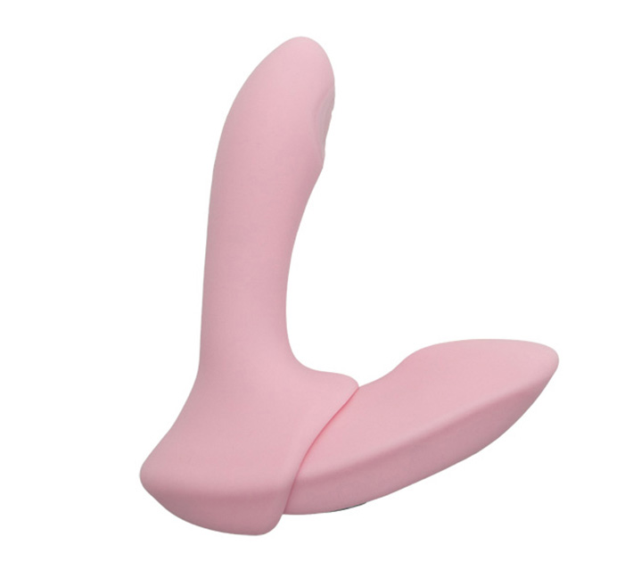 nemo：PittaG+のイメージ02