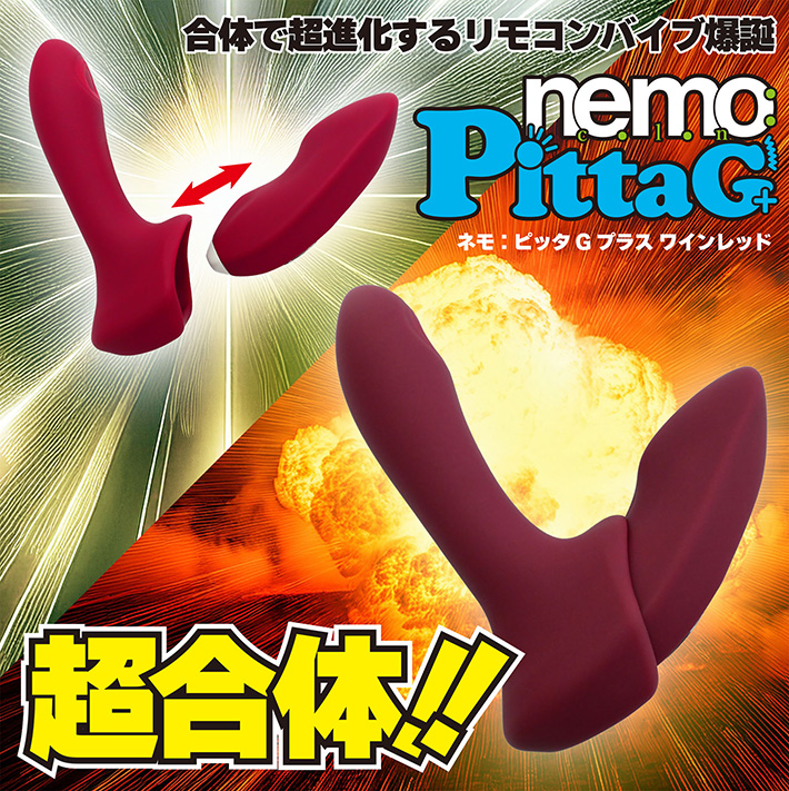nemo：PittaG+の製品概要01