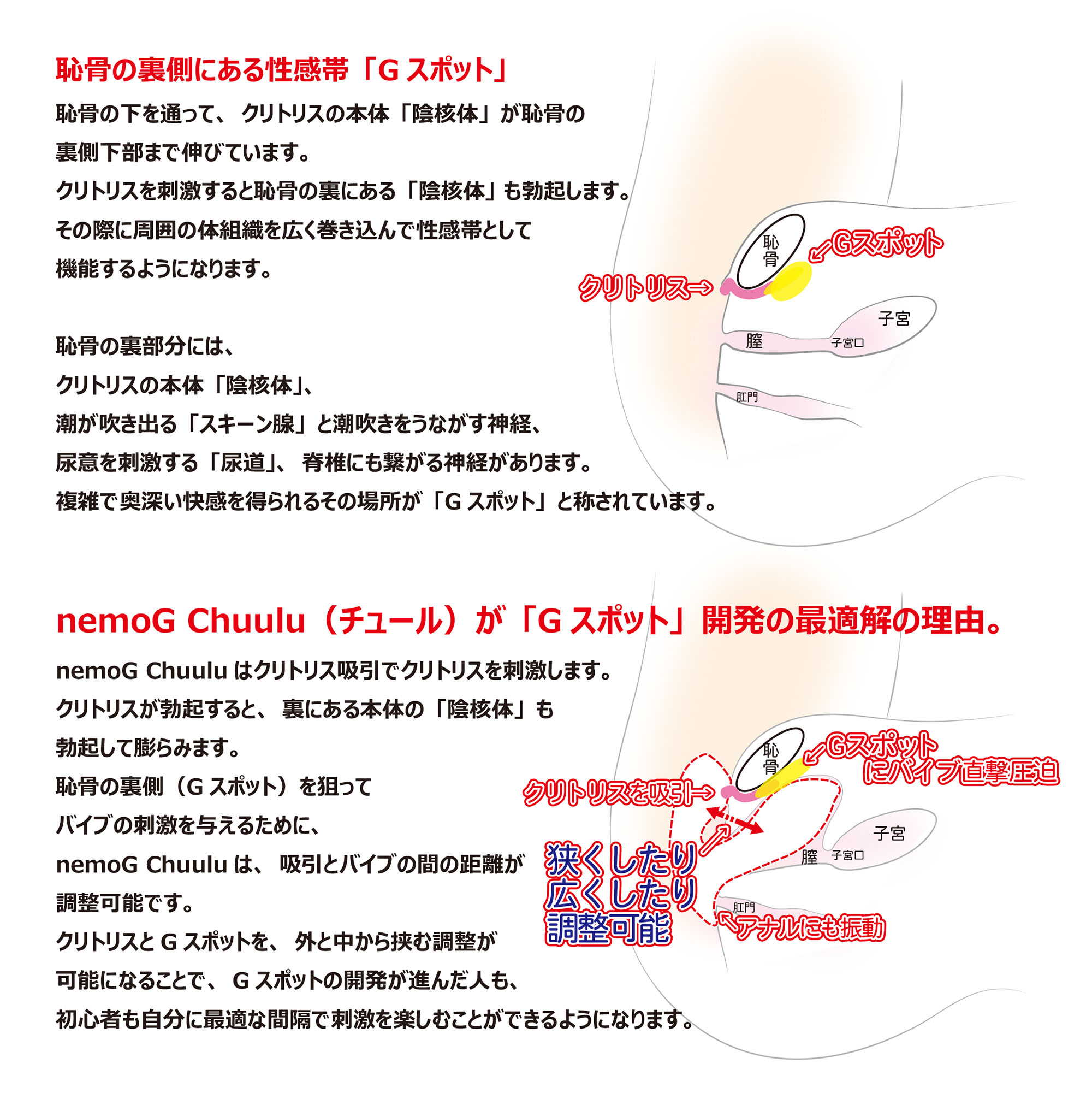 nemo：Chuuluの製品概要05